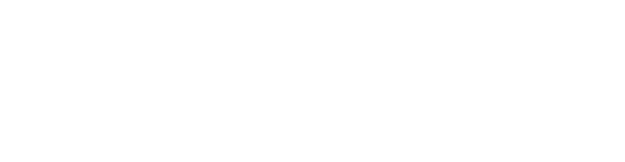 digital mailers logo